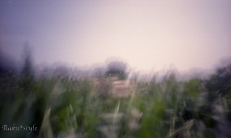 d0005817_238127.jpg