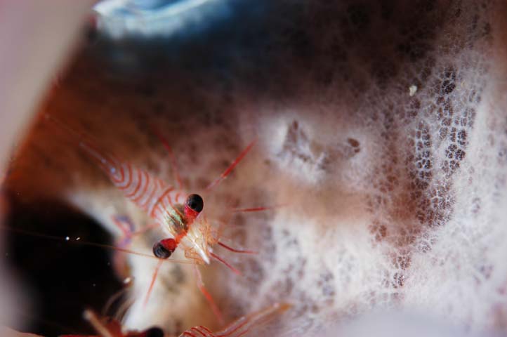 d0039027_22322869.jpg