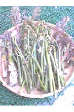 c0011446_17581254.jpg