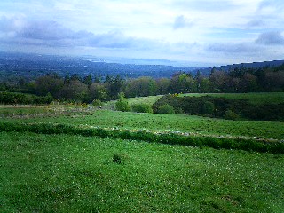 c0045655_22583934.jpg