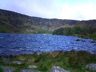 c0045655_2312349.jpg