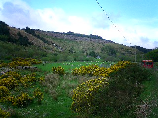 c0045655_2364555.jpg