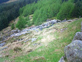 c0045655_238467.jpg
