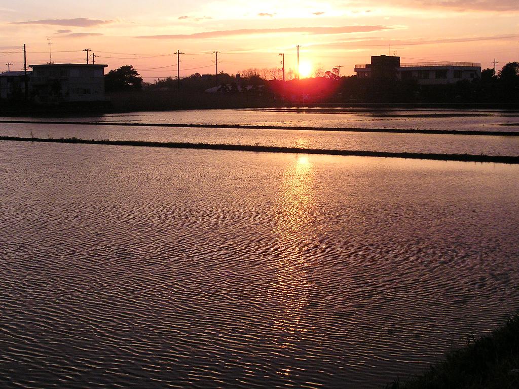 d0023692_19213979.jpg