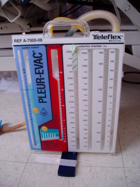 c0037103_131284.jpg