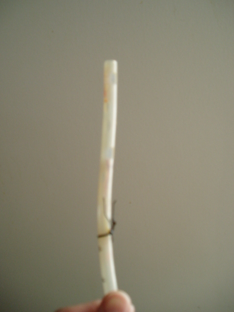 c0037103_13212882.jpg