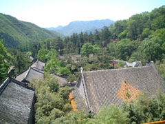 c0060603_0374184.jpg