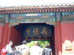 c0060603_0424518.jpg