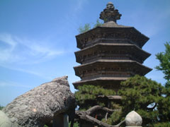 c0060603_0473392.jpg