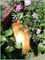 c0060620_2494077.jpg