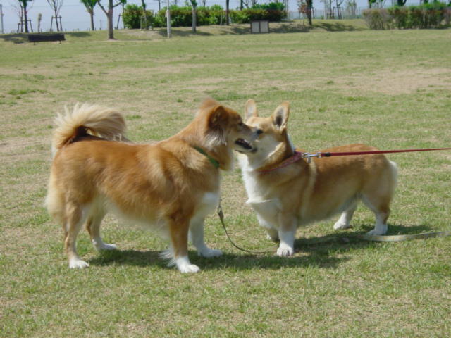 c0030624_226710.jpg