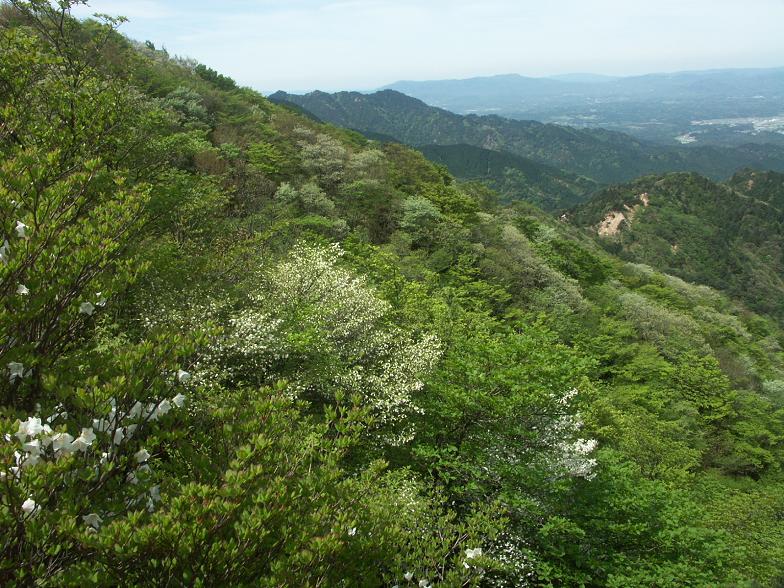 b0039226_10493232.jpg