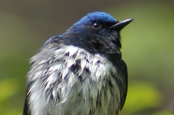 b0036743_2254018.jpg