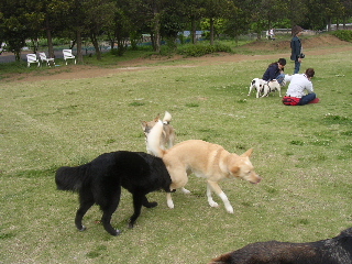 c0065643_19114412.jpg