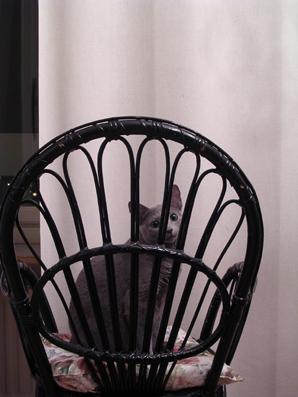 c0006748_5202070.jpg