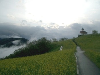 c0043751_113428.jpg