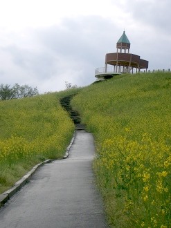 c0043751_1134496.jpg