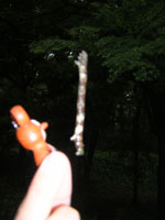 b0046664_233650100.jpg