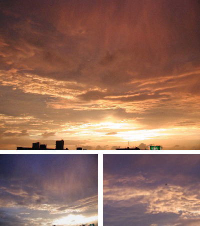 c0030675_10223444.jpg