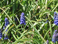c0020478_193370.jpg