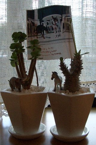 c0020681_19272277.jpg