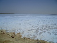 a0003089_21381946.jpg