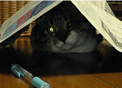 c0035001_15441841.jpg