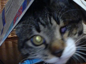 c0035001_15444516.jpg