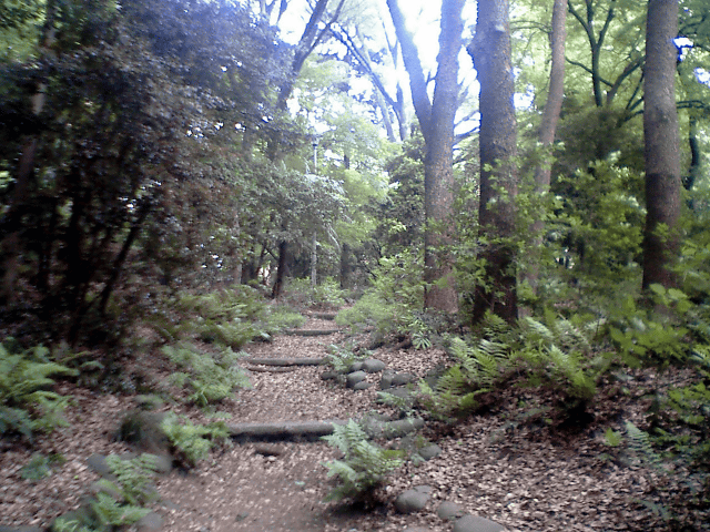a0006605_2354256.gif