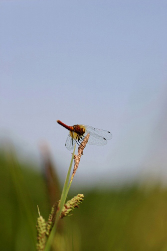 d0010607_20574635.jpg