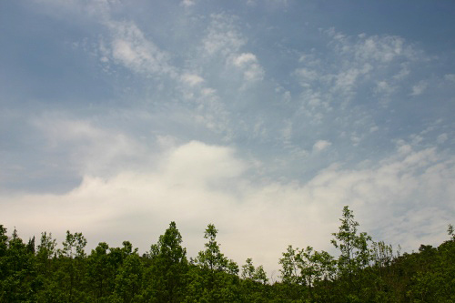 d0010607_2154822.jpg