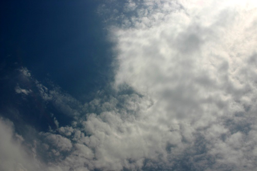 d0010607_21618.jpg