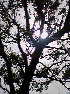 b0045208_22295631.jpg