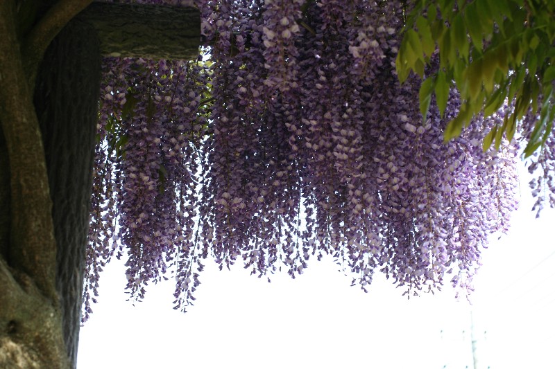 a0004023_6261863.jpg