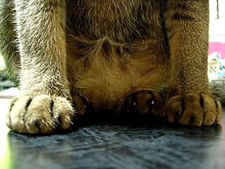 a0009835_0552379.jpg