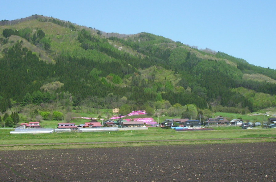 a0029157_12331664.jpg