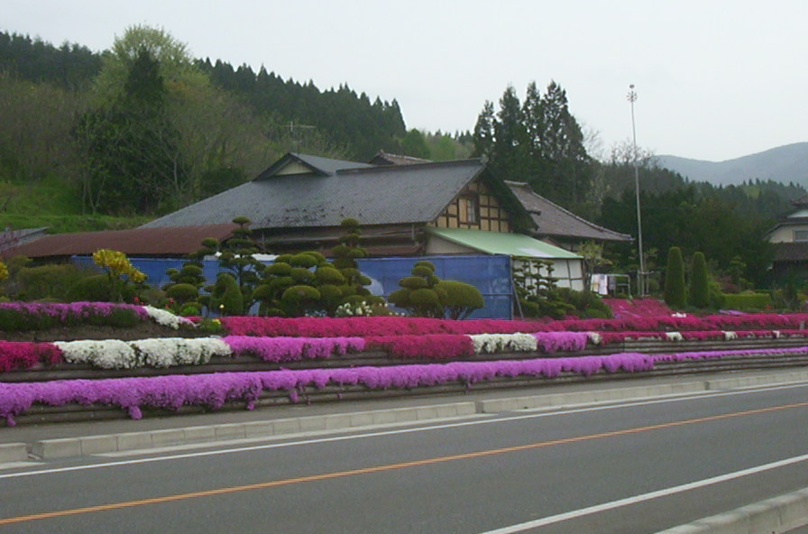 a0029157_12353085.jpg
