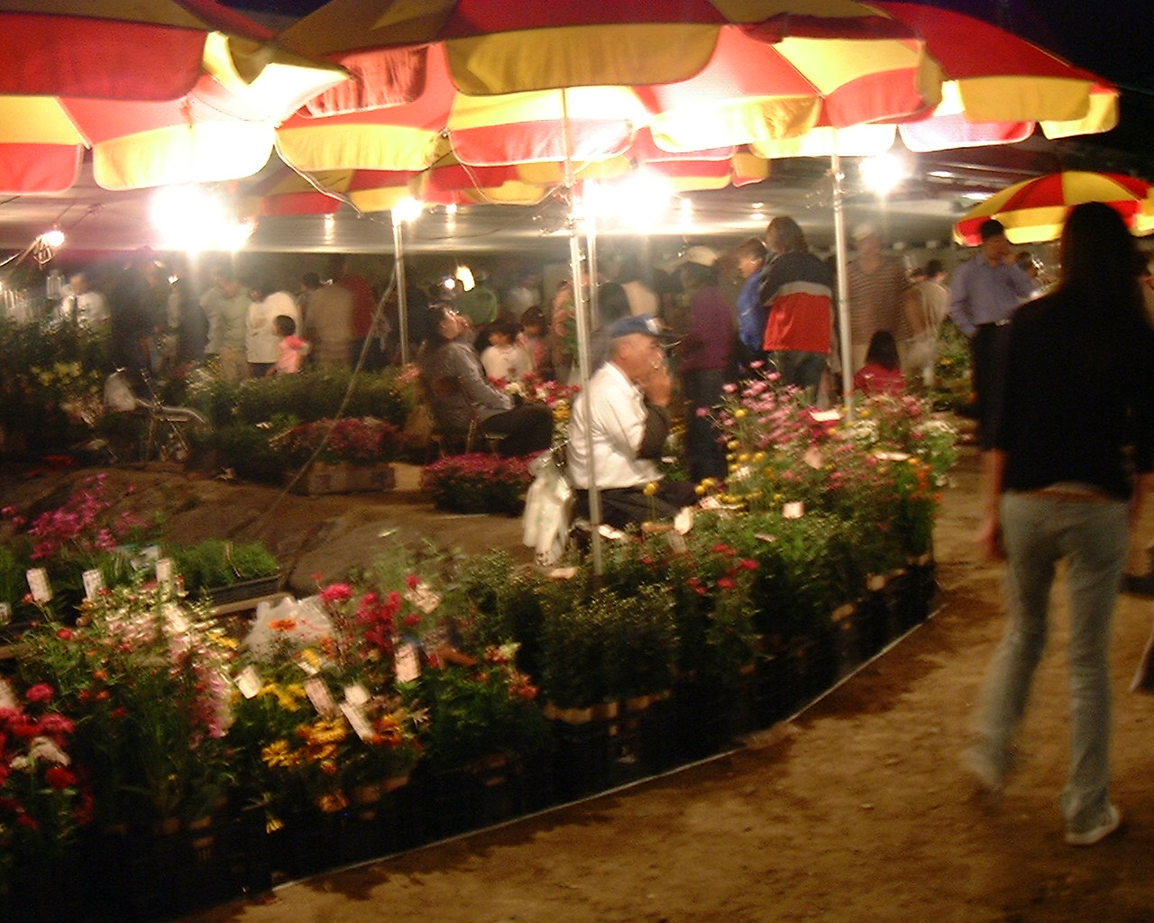 d0028072_0275428.jpg