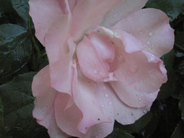 d0049381_2321346.jpg