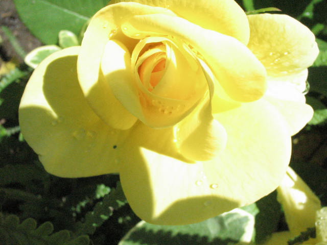 d0049381_2341518.jpg