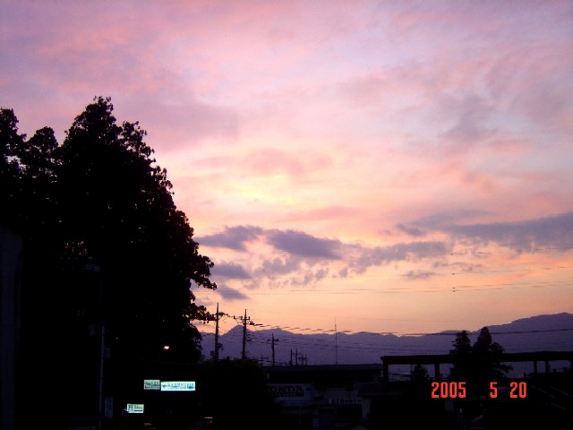 a0005691_1941224.jpg