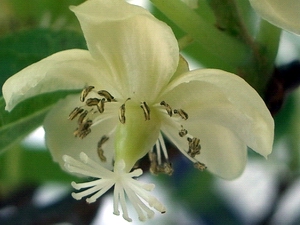 b0052108_13332875.jpg