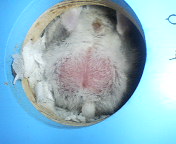 c0032408_2282911.jpg