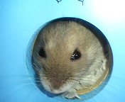 c0032408_229228.jpg
