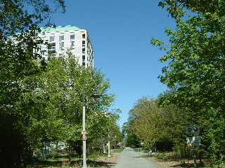 c0039813_1363455.jpg