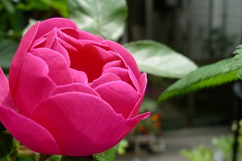 a0034419_10203851.jpg