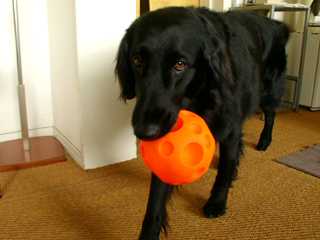 c0012120_2353329.jpg