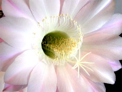 d0029829_18545486.jpg