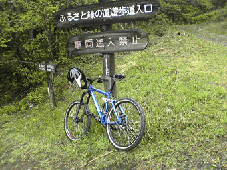 a0026445_2134719.gif