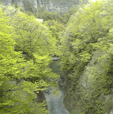 a0026445_21355714.gif